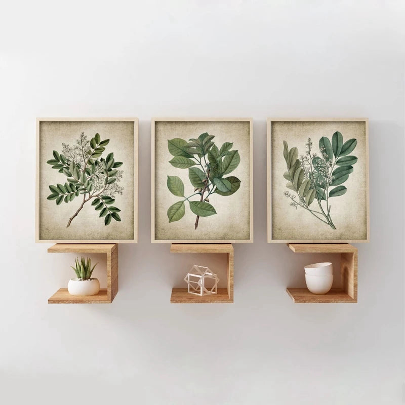 Vintage Plant Canvas Print Wall Art Set