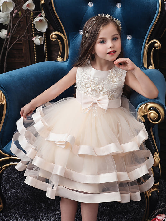 Elegant Princess Dress with Embroidery and Sleeveless Mesh Tutu