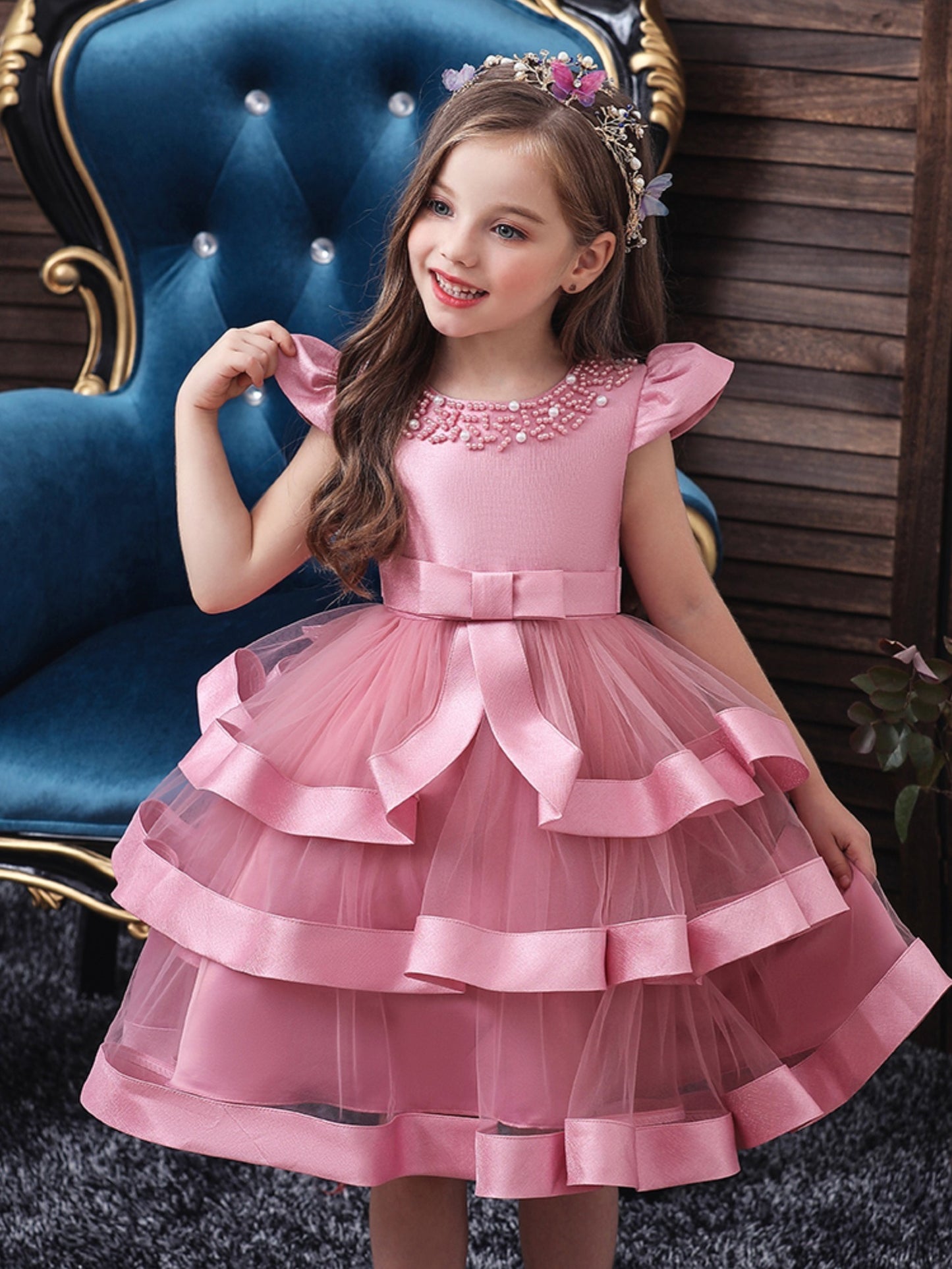 Elegant Mesh Princess Dress for Girls